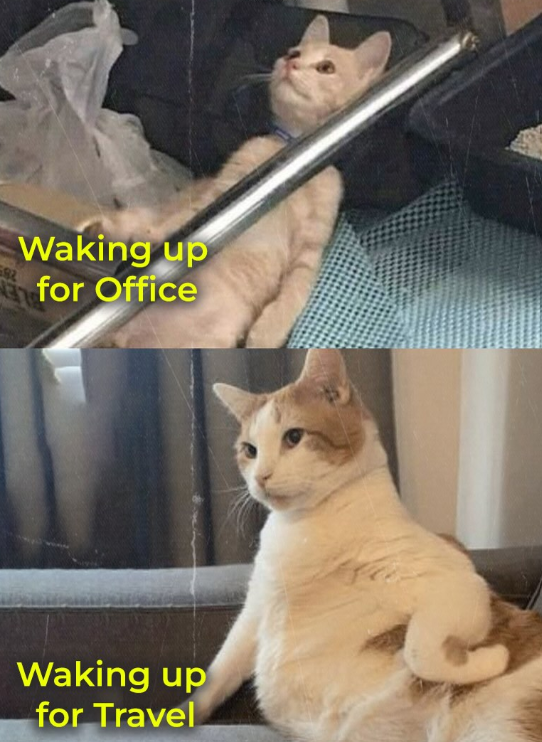 Waking up for Office Waking up for Travel