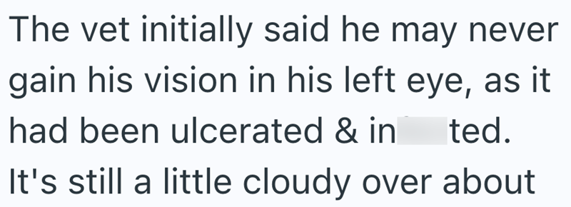 The vet initially said he may never gain his vision in his left eye, as it had been ulcerated & in ted. It's still a little cloudy over about