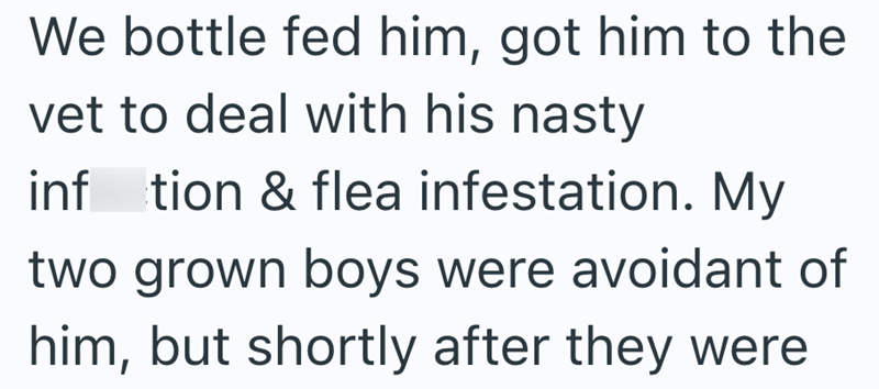 We bottle fed him, got him to the vet to deal with his nasty inf tion & flea infestation. My two grown boys were avoidant of him, but shortly after they were