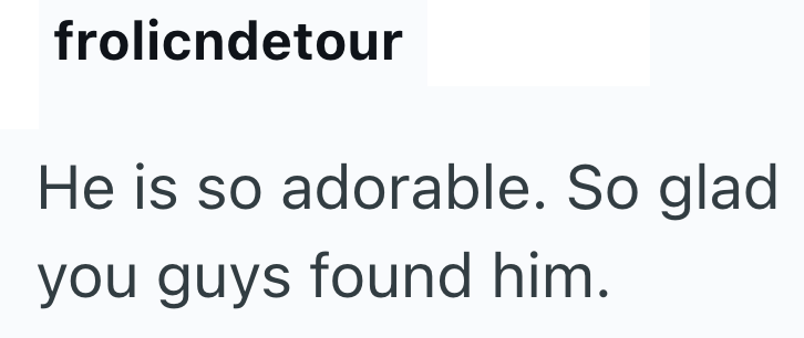 frolicndetour He is so adorable. So glad you guys found him.