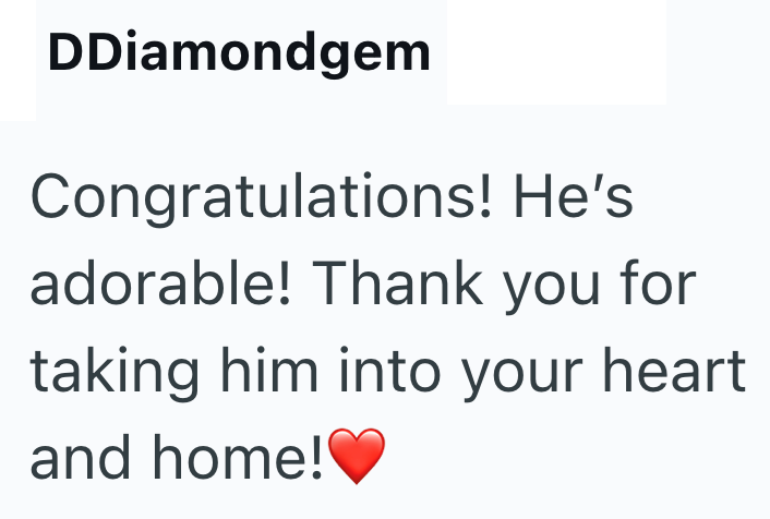 DDiamondgem Congratulations! He's adorable! Thank you for taking him into your heart and home!