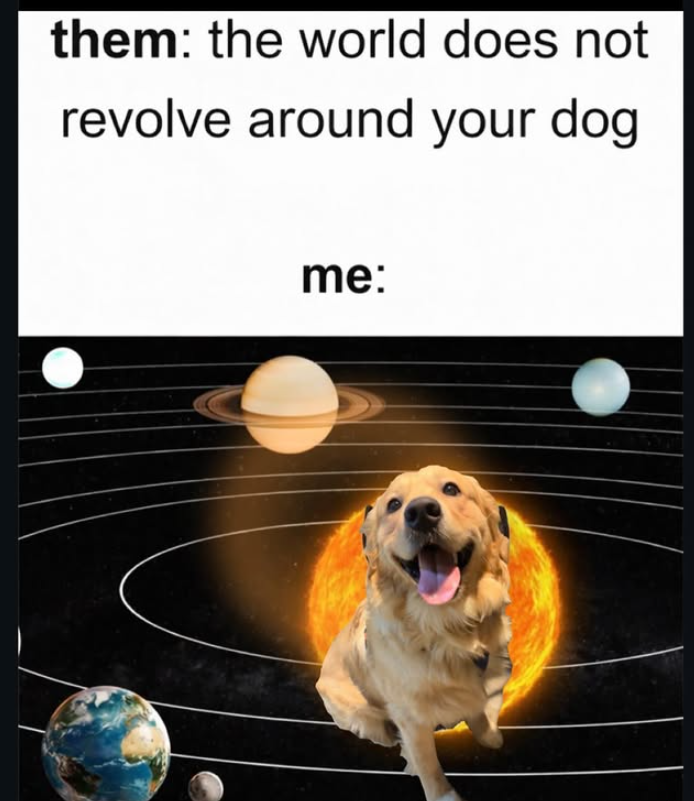 them: the world does not revolve around your dog me: