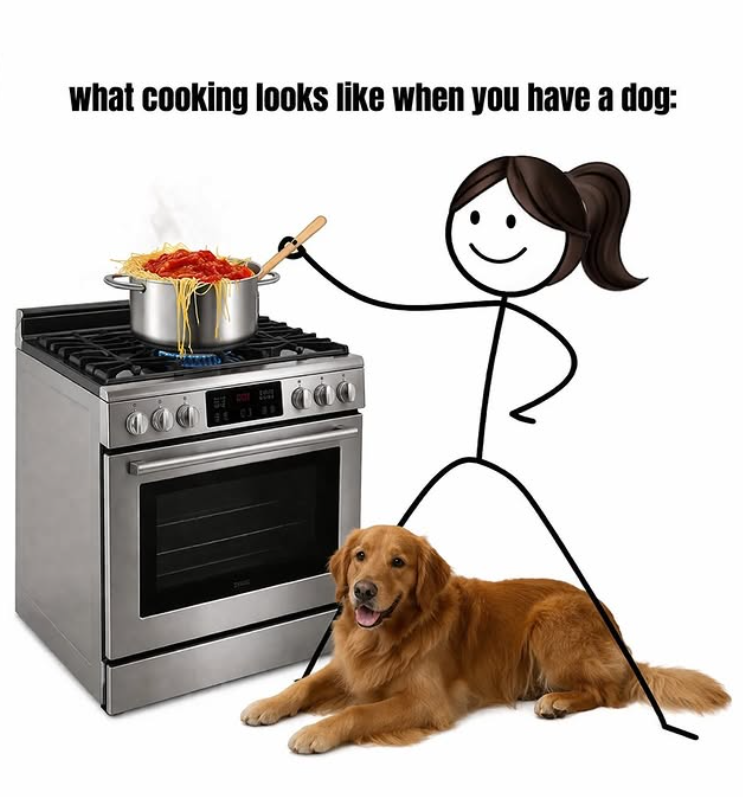what cooking looks like when you have a dog: