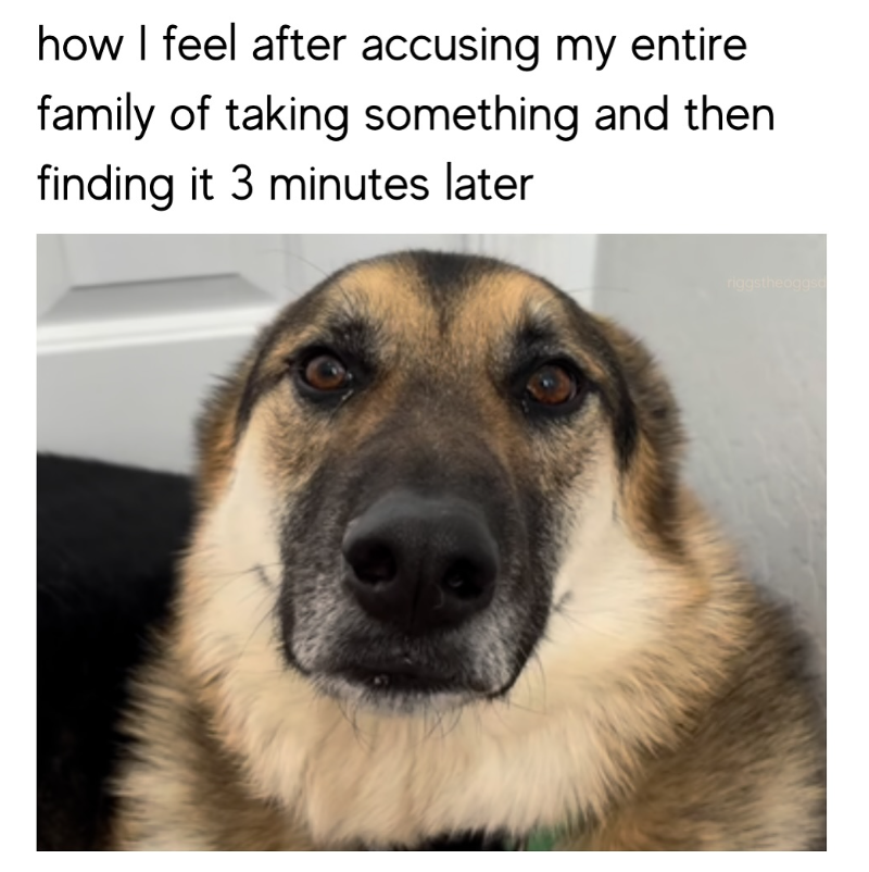 how I feel after accusing my entire family of taking something and then finding it 3 minutes later riggstheoggs