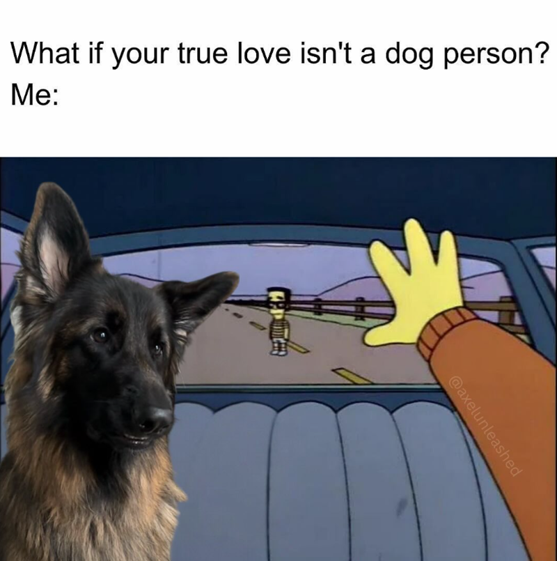 What if your true love isn't a dog person? Me: @axelunleashed