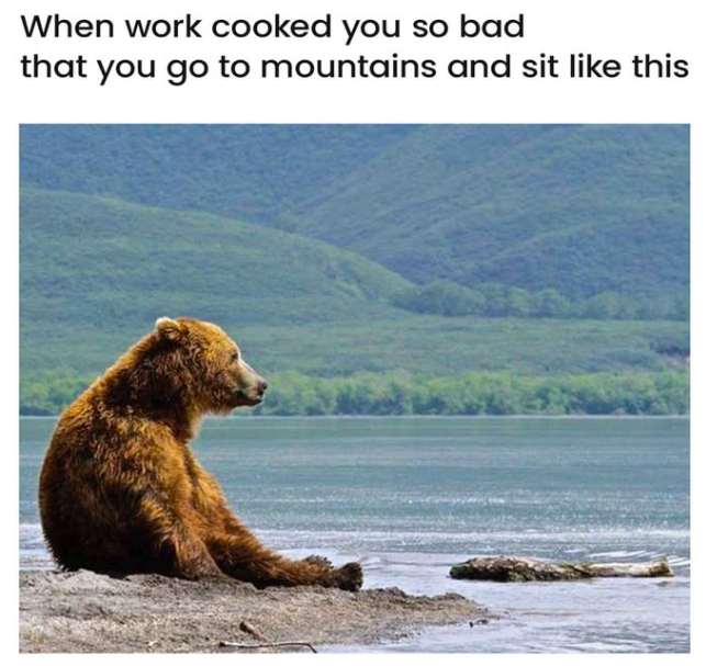 When work cooked you so bad that you go to mountains and sit like this