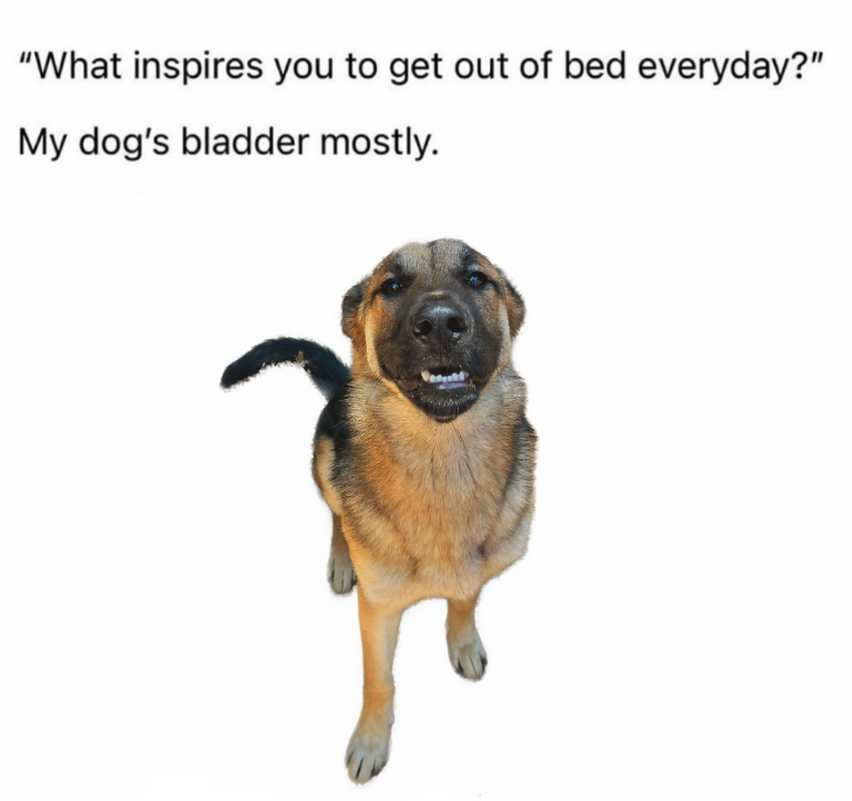 "What inspires you to get out of bed everyday?" My dog's bladder mostly.