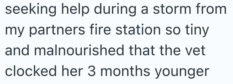 seeking help during a storm from my partners fire station so tiny and malnourished that the vet clocked her 3 months younger