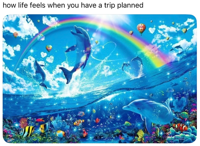 how life feels when you have a trip planned