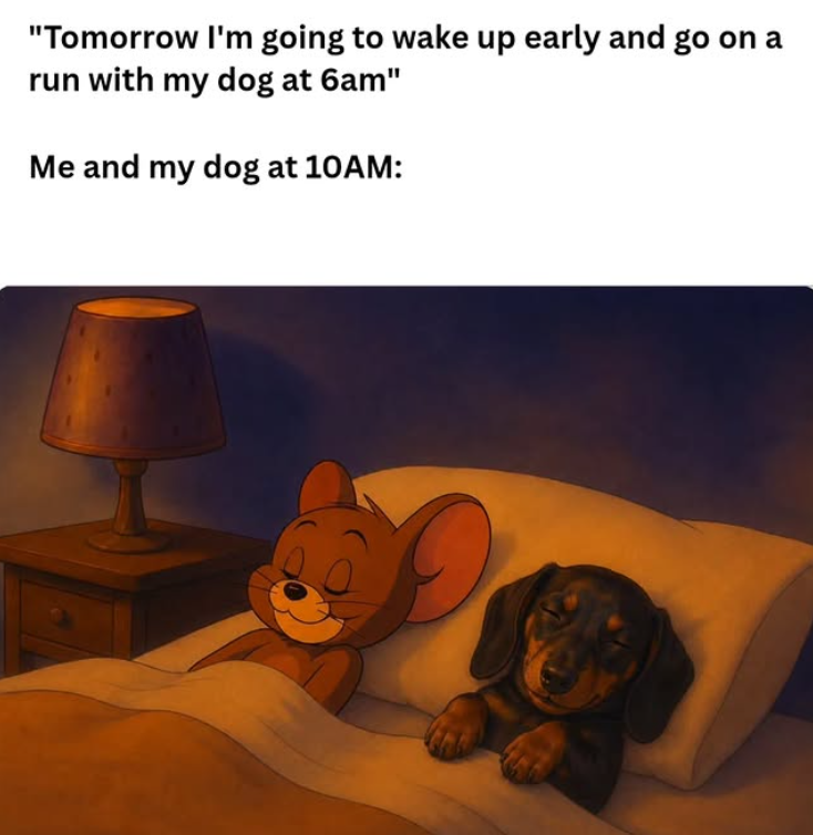 "Tomorrow I'm going to wake up early and go on a run with my dog at 6am" Me and my dog at 10AM: