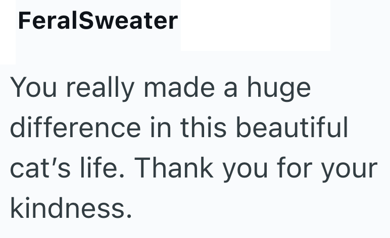 FeralSweater You really made a huge difference in this beautiful cat's life. Thank you for your kindness.