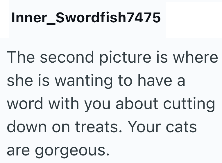 Inner_Swordfish7475 The second picture is where she is wanting to have a word with you about cutting down on treats. Your cats are gorgeous.