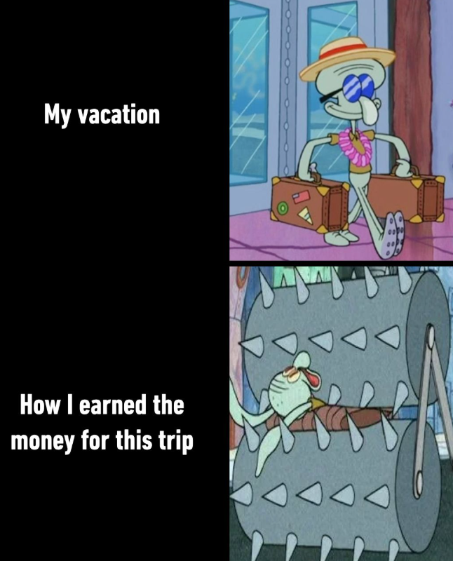My vacation How I earned the money for this trip
