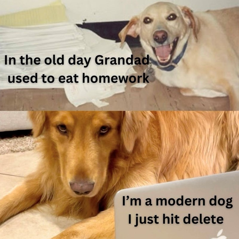 In the old day Grandad used to eat homework I'm a modern dog I just hit delete