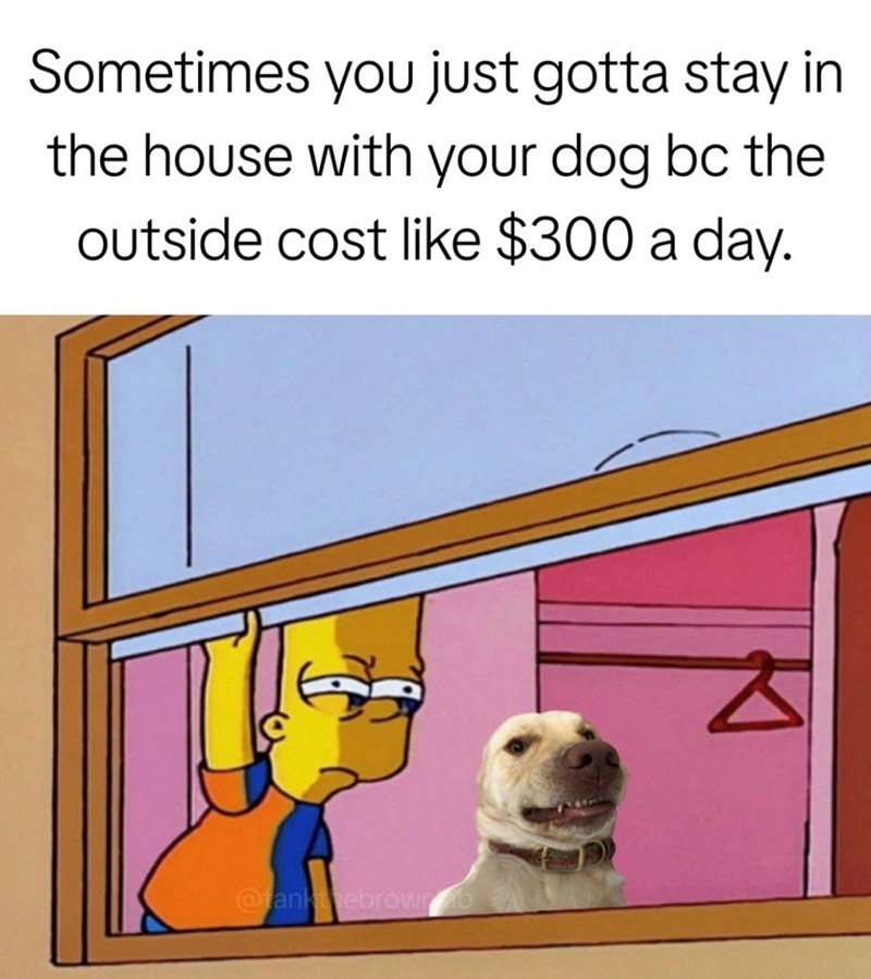 Sometimes you just gotta stay in the house with your dog bc the outside cost like $300 a day. @tankthebrownb