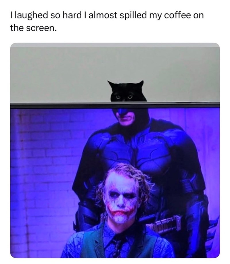 I laughed so hard I almost spilled my coffee on the screen.