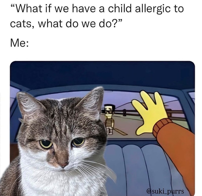 "What if we have a child allergic to cats, what do we do?" Me: @suki_purrs
