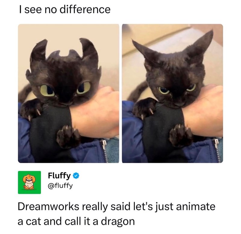 I see no difference Fluffy ❤ @fluffy Dreamworks really said let's just animate a cat and call it a dragon