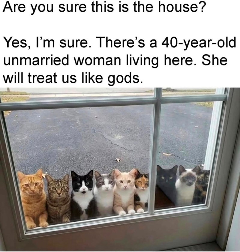 Are you sure this is the house? Yes, I'm sure. There's a 40-year-old unmarried woman living here. She will treat us like gods.