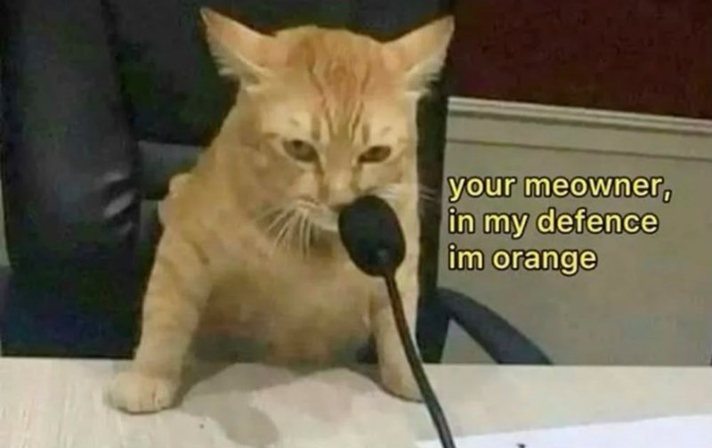 your meowner, in my defence im orange