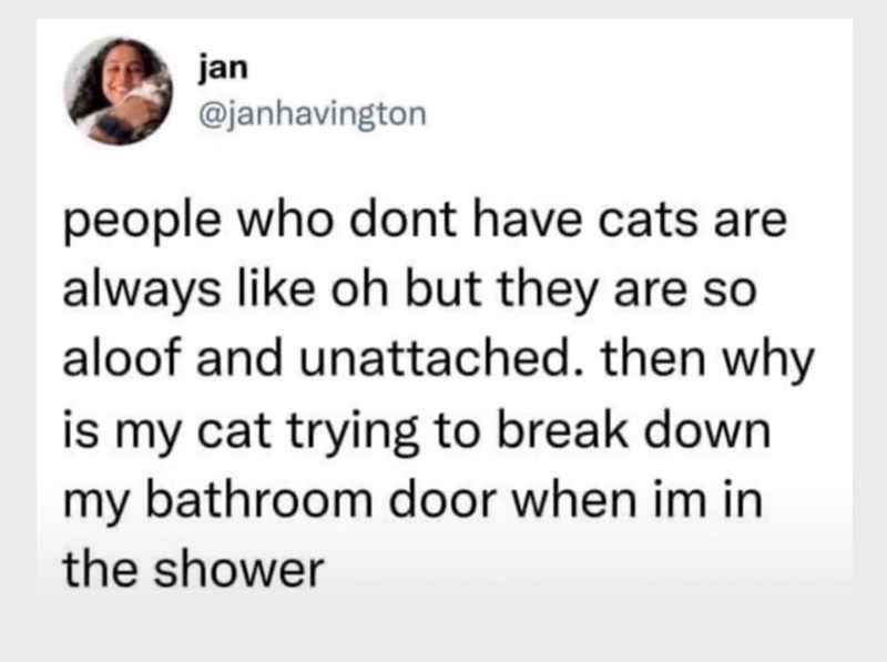 jan @janhavington people who dont have cats are always like oh but they are so aloof and unattached. then why is my cat trying to break down my bathroom door when im in the shower