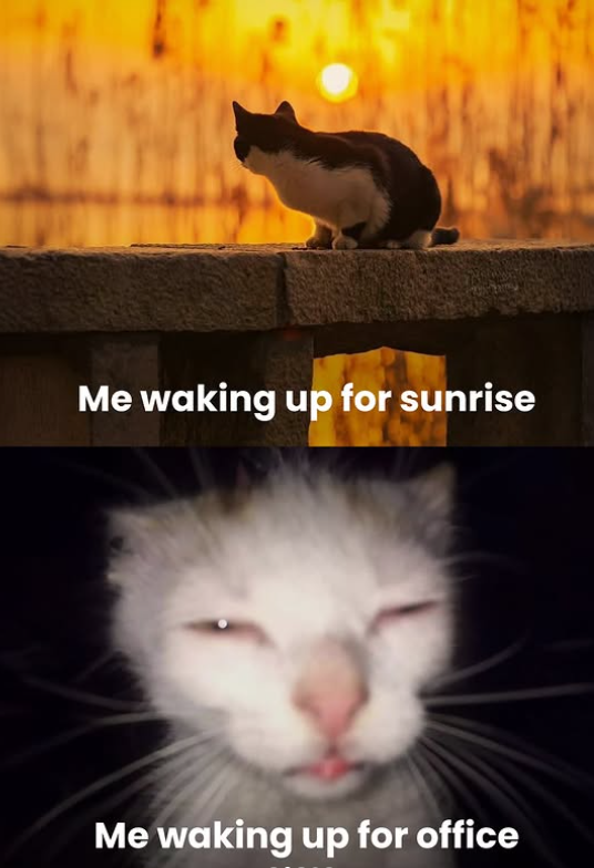 Me waking up for sunrise Me waking up for office