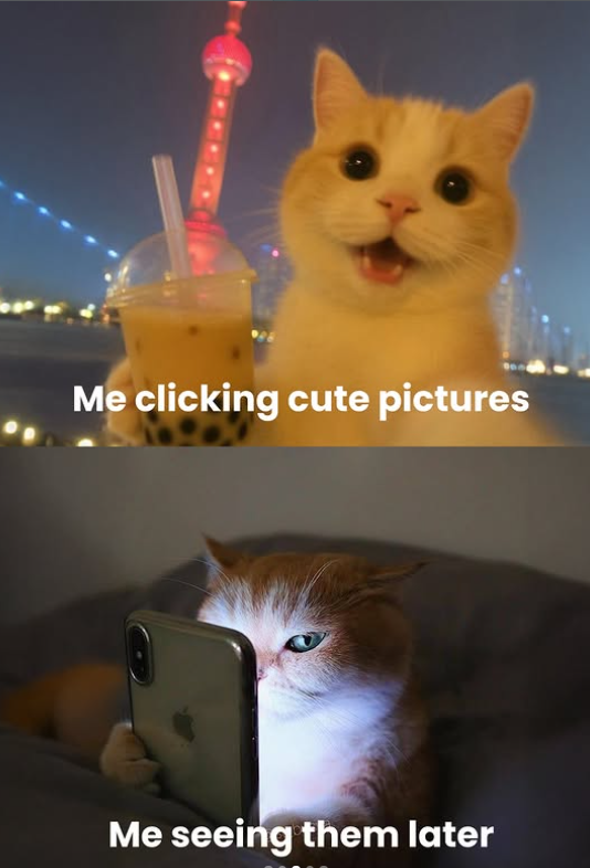 Me clicking cute pictures Me seeing them later