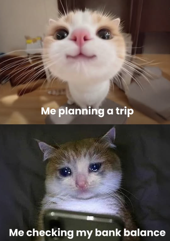 Me planning a trip Me checking my bank balance