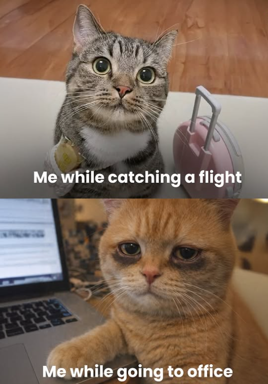 Me while catching a flight Me while going to office