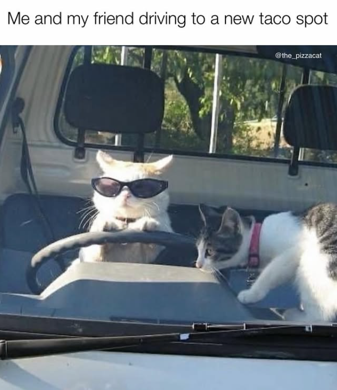 Me and my friend driving to a new taco spot @the_pizzacat
