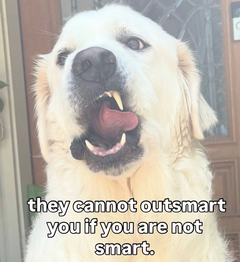 they cannot outsmart you if you are not smart.