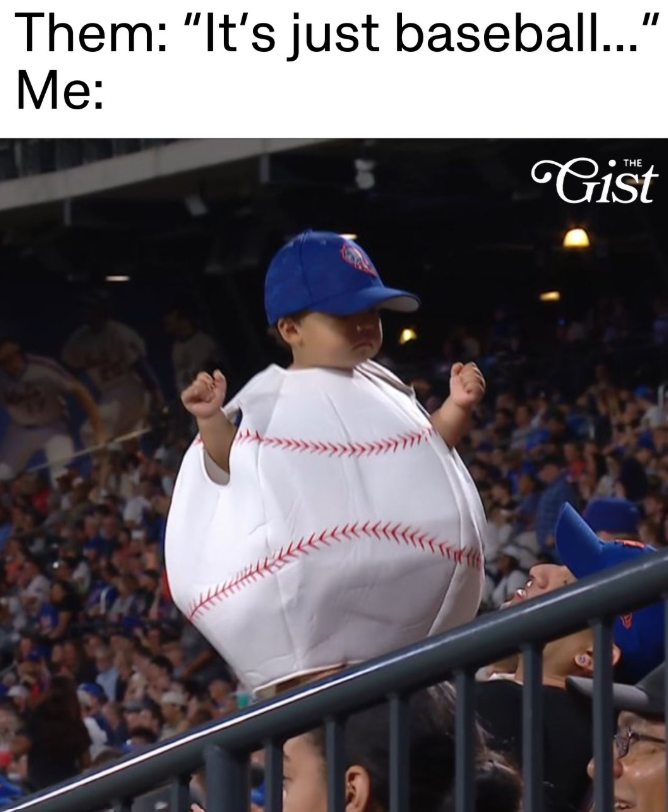 Them: "It's just baseball..." Me: Gist THE