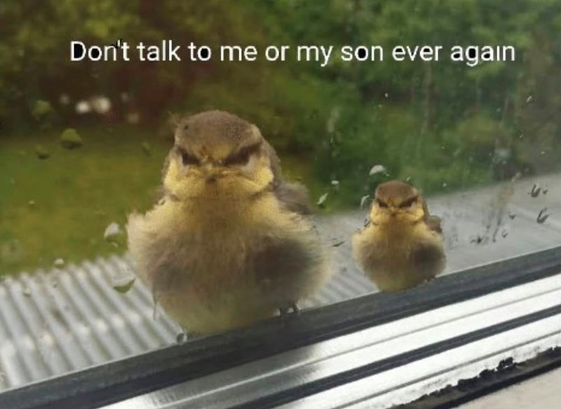 Don't talk to me or my son ever again