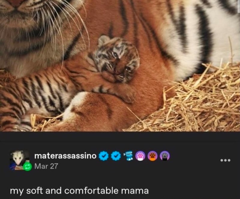 materassassino Mar 27 my soft and comfortable mama