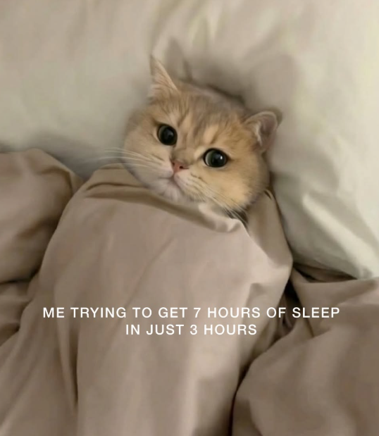ME TRYING TO GET 7 HOURS OF SLEEP IN JUST 3 HOURS