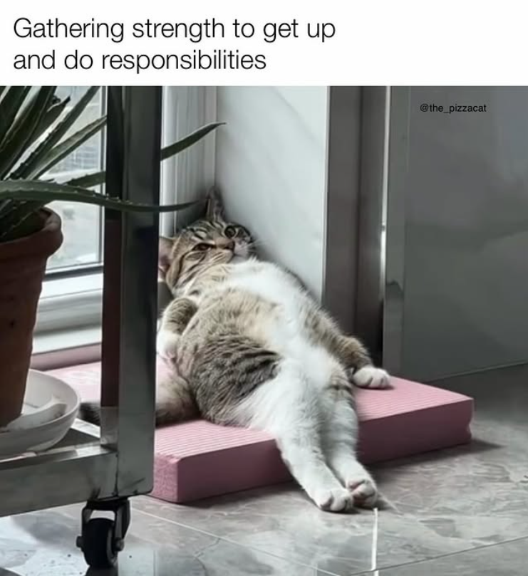 Gathering strength to get up and do responsibilities @the_pizzacat