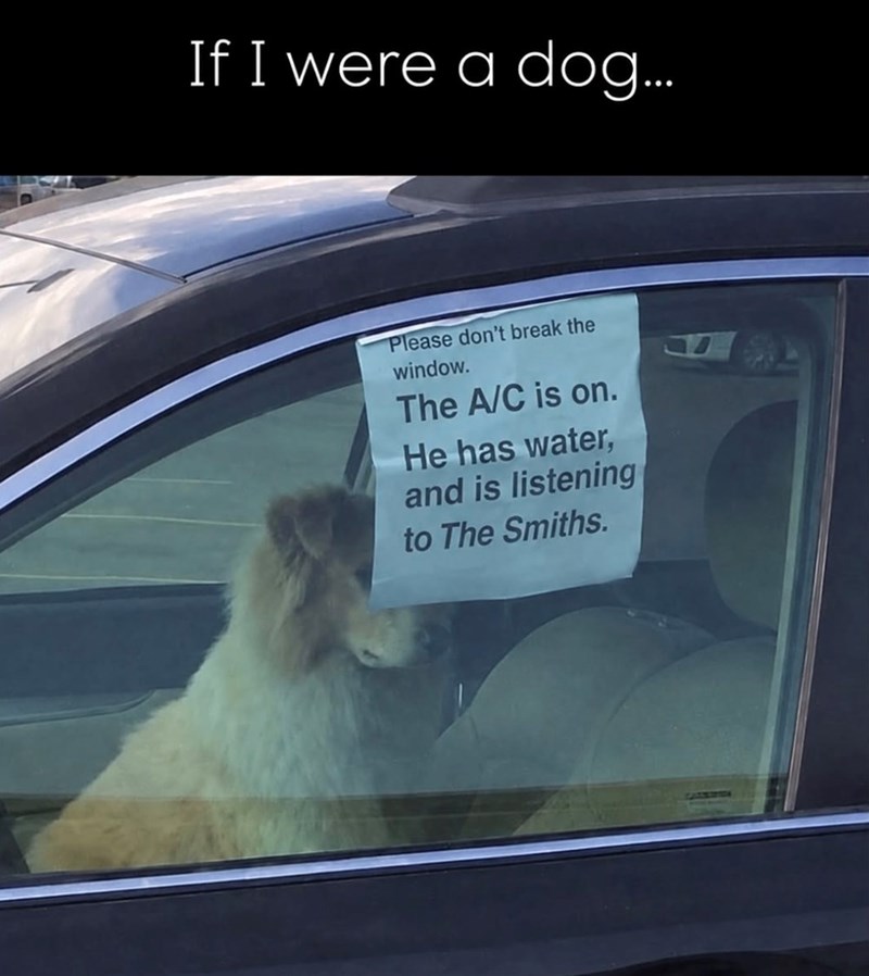 If I were a dog... Please don't break the window. The A/C is on. He has water, and is listening to The Smiths.