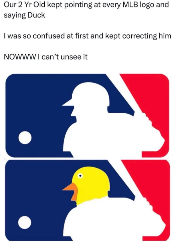 Our 2 Yr Old kept pointing at every MLB logo and saying Duck I was so confused at first and kept correcting him NOWWW I can't unsee it
