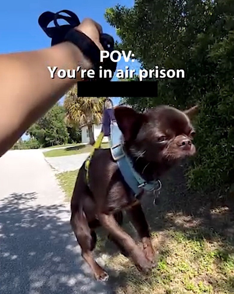 POV You're in air prison