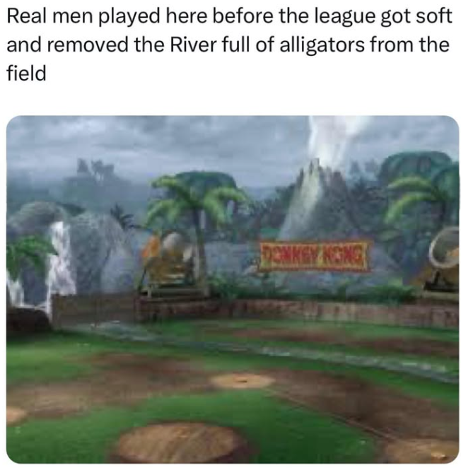 Real men played here before the league got soft and removed the River full of alligators from the field DONKEY KONG