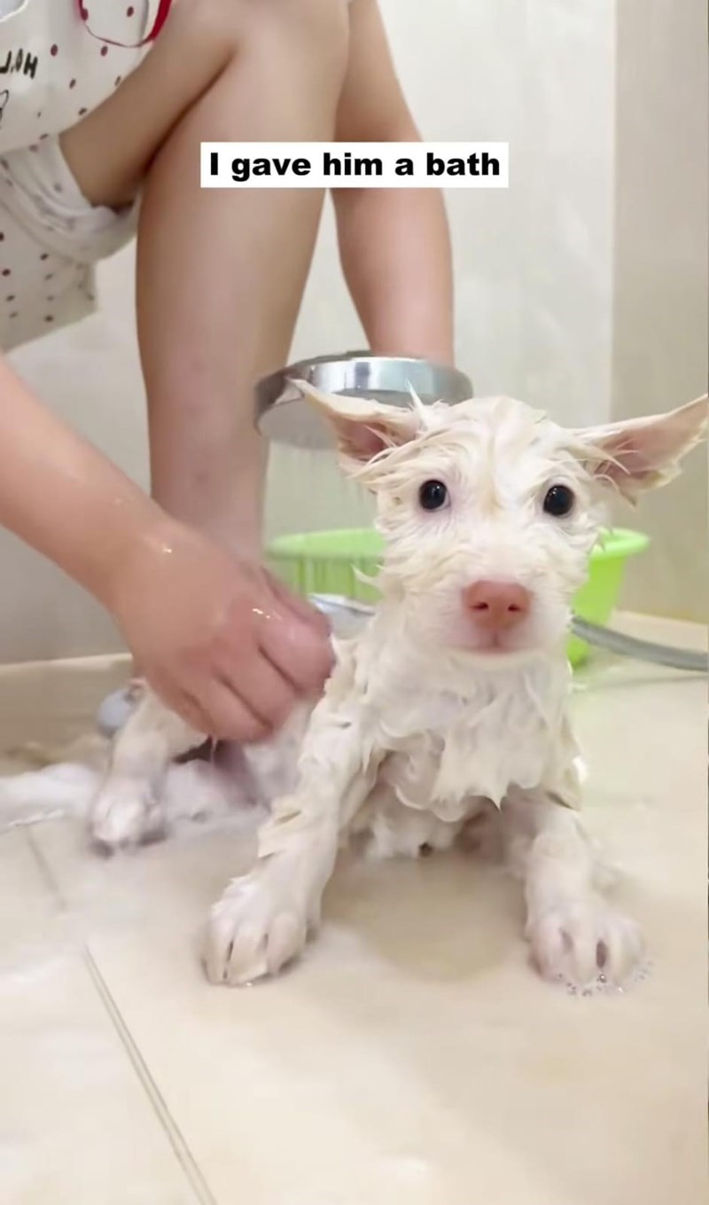 I gave him a bath