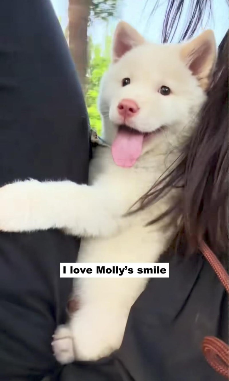 I love Molly's smile