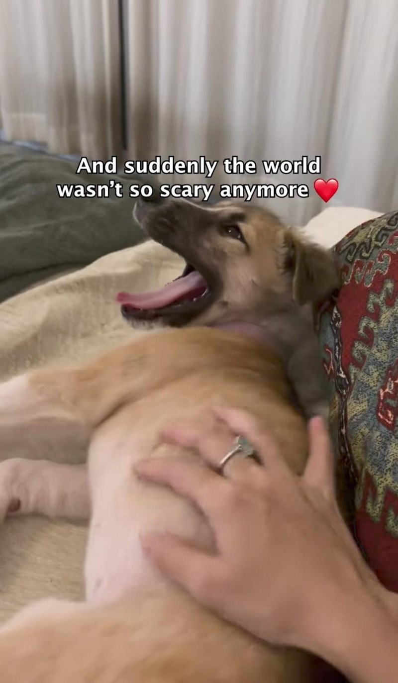 And suddenly the world wasn't so scary anymore