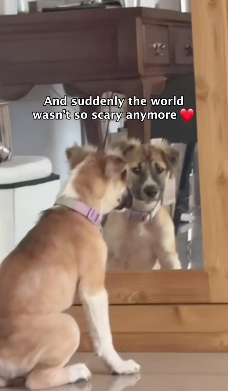 And suddenly the world wasn't so scary anymore