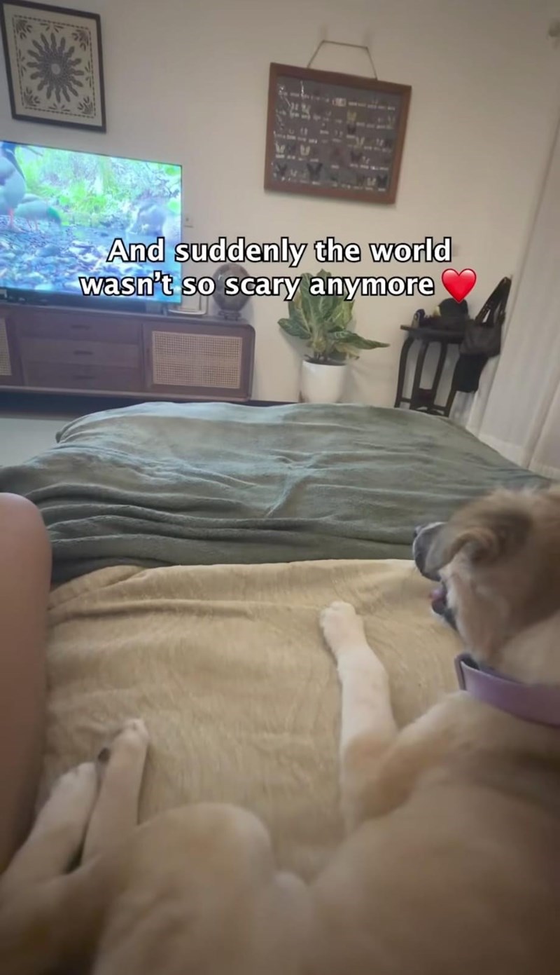 And suddenly the world wasn't so scary anymore
