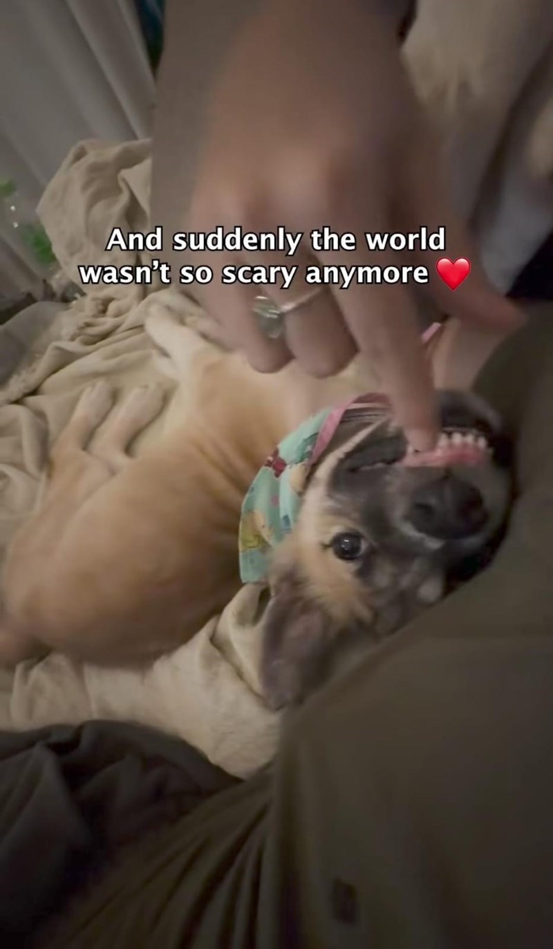 And suddenly the world wasn't so scary anymore