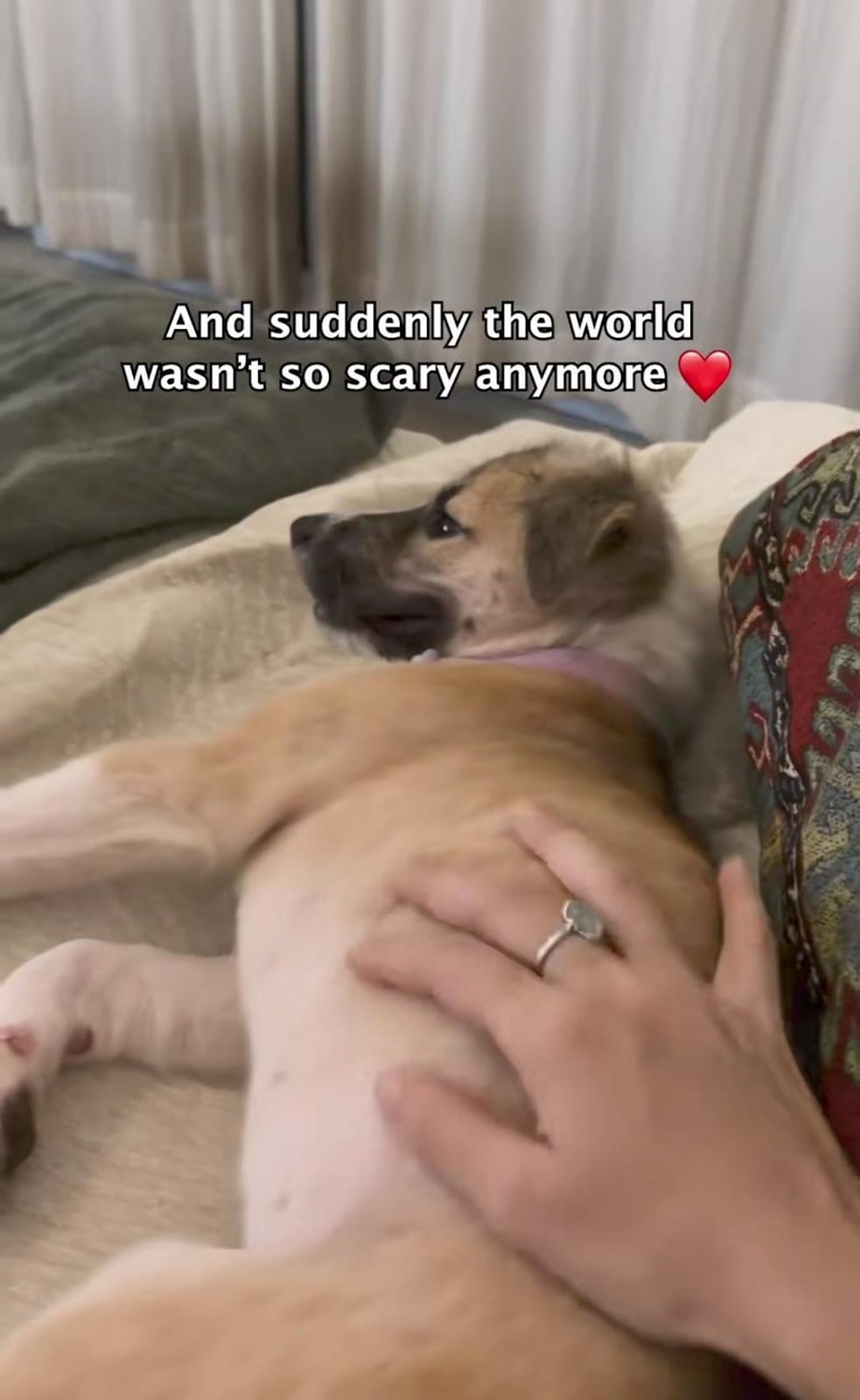 And suddenly the world wasn't so scary anymore