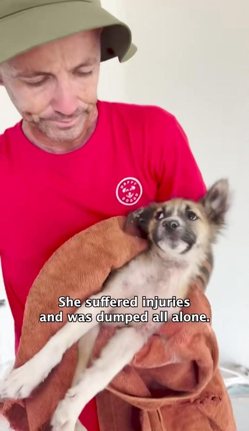 She suffered injuries and was dumped all alone.