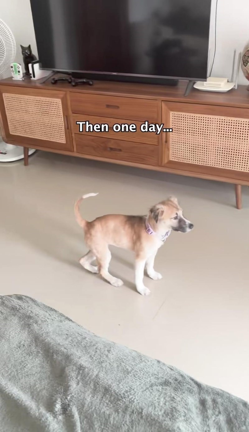 Then one day....