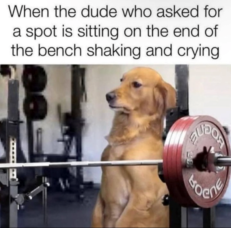 When the dude who asked for a spot is sitting on the end of the bench shaking and crying. troent
